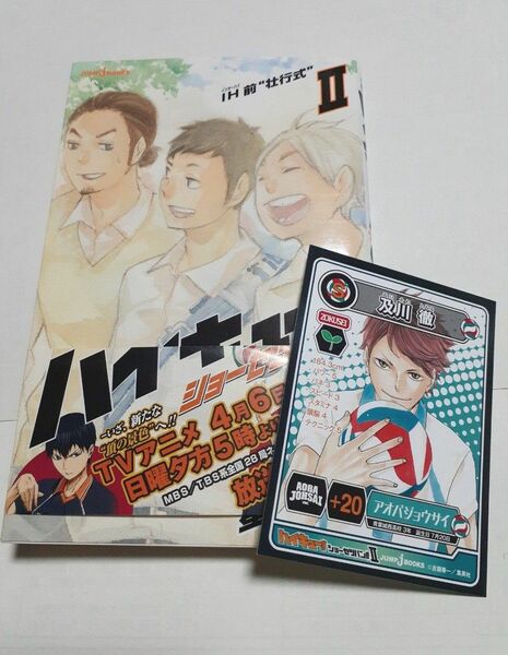 【初版本】ハイキュー!! ショーセツバン!!2