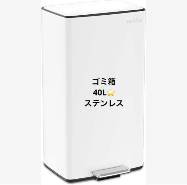 ゴミ箱 40L ダストボックス ステンレス ふた付き おしゃれ ペダル式 大容量