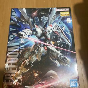 フリーダムガンダム Ver2.0 未組立
