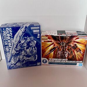 MG 1/100 ガンダムアストレア+プロトGNツインブロードブレイド ガンダムベース限定 デスティニーガンダム (ハイネ専用機)