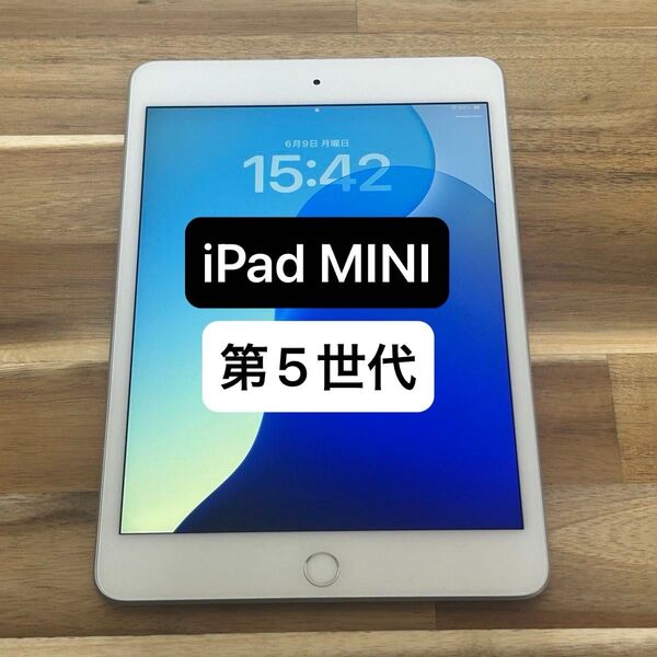 【価格相談可】②Apple iPad Mini 第5世代 64GB シルバー Wi-Fiモデル【動作確認済】