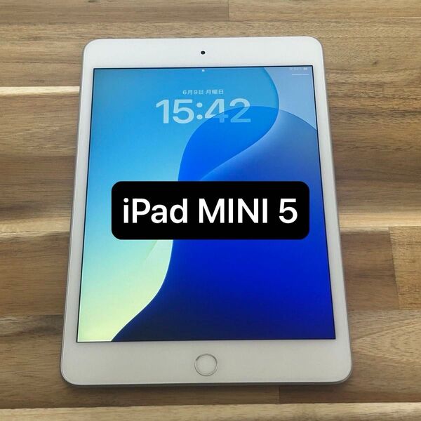 ②Apple iPad Mini 第5世代 64GB シルバー Wi-Fiモデル【動作確認済】