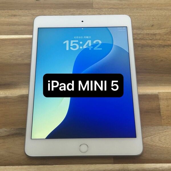 ②Apple iPad Mini 第5世代 64GB シルバー Wi-Fiモデル【動作確認済】