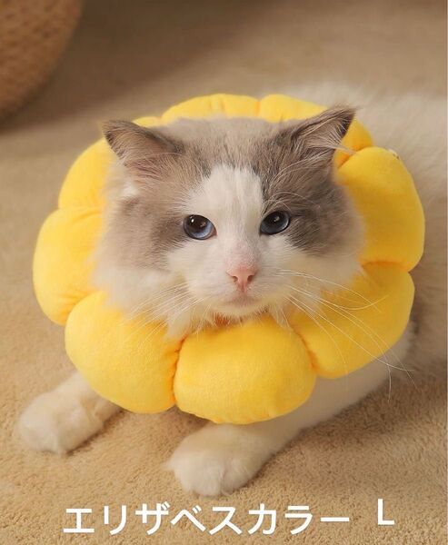エリザベス 猫 犬 軽量 介護 エリザベスカラ小型犬用 ペット用品 傷口保護 介護 避妊 術後ウェア L