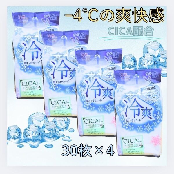 汗ふきシート ボディシート シカ CICA配合 リフレッシュ 眠気覚まし 夏 制汗 ひんやり クール 冷爽 肌スッキリシート 4個