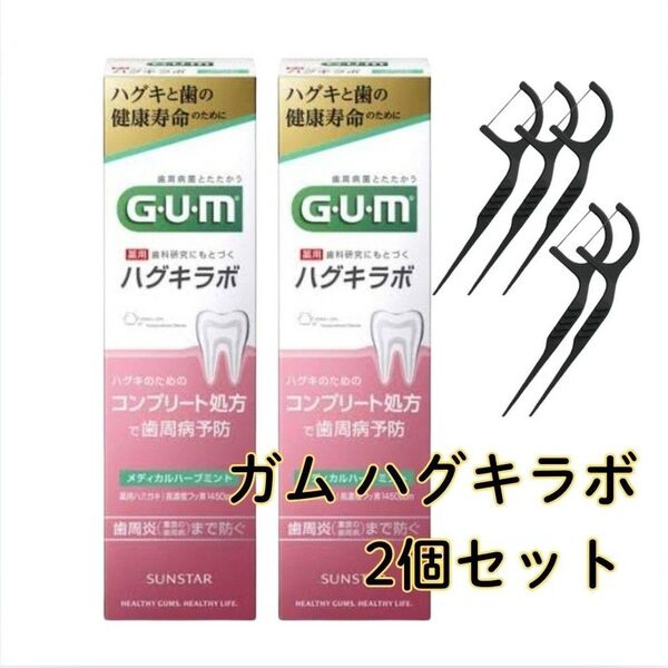 GUM ガム・ハグキラボ デンタルペースト 薬用ハミガキ メディカルハーブミント 85g × 2 個SET 医薬部外品