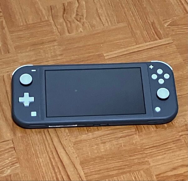 Nintendo Switch Lite グレー ニンテンドースイッチ ライト microSDカード256GB付き