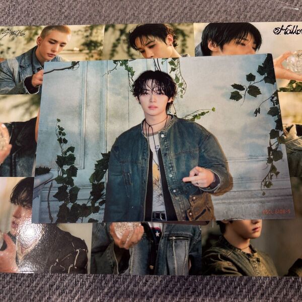 stray kids hollow 期間生産限定盤 封入 ブロマイドカード リノ スキズ ポストカード ランダム