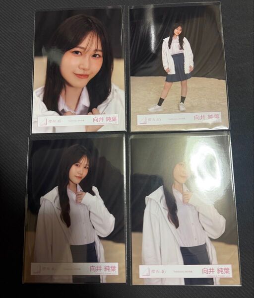 櫻坂46 向井純葉 addiction 生写真