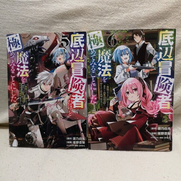 底辺冒険者だけど魔法を極めてみることにした 無能スキルから神スキルに進化した〈魔法創造〉と〈アイテム作成〉で無双する 5 & 6