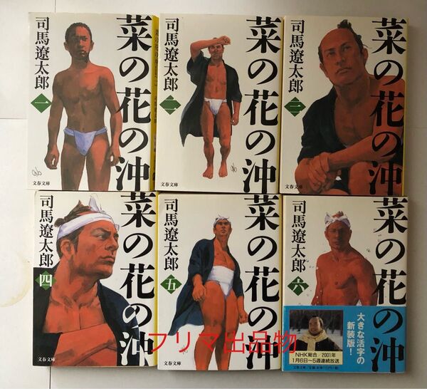 菜の花の沖 全6巻セット 司馬遼太郎