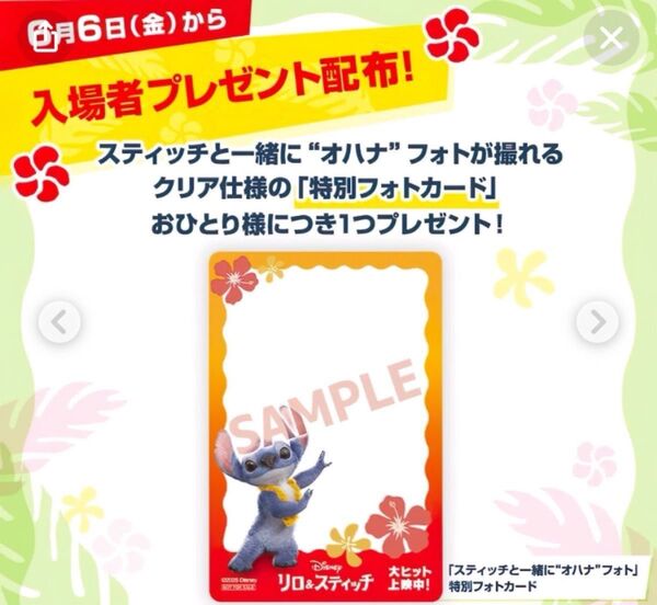 【リロ&スティッチ】【映画特典】特別フォトカード(2枚)