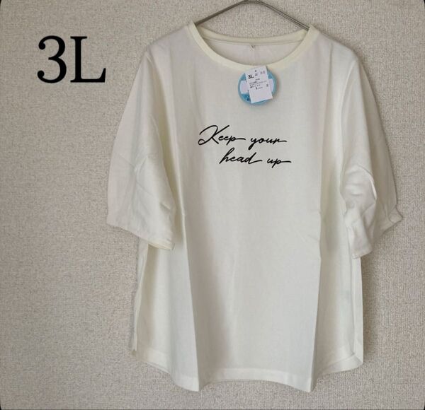 半袖 ロゴT Tシャツ カットソー トップス ボリューム袖 大きいサイズ 3L