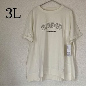 半袖 チュニック Tシャツ 綿100 コットン プルオーバー ロゴT トップス ストリート アメカジ