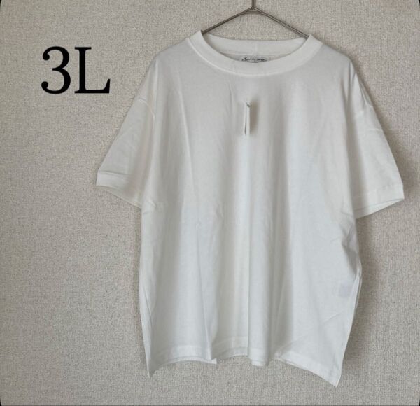 半袖 Tシャツ ひんやり 綿100 コットン 3L オフホワイト トップス 冷感 カットソー クルーネック