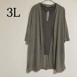 シアーカーディガン ノースリーブ アンサンブル 3L ブラウン系 ロングカーデ 薄手 はおり