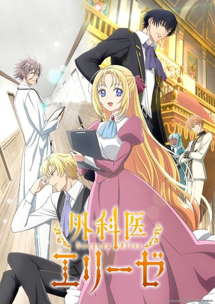 外科医エリーゼ DVD 全4巻