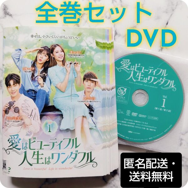 ソル・イナ『愛はビューティフル 人生はワンダフル』レンタル落ちDVD★全巻★韓国ドラマ