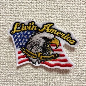 新品 LivinAmerica リヴィンアメリカ ブランドロゴ EAGLE イーグル USA 星条旗 刺繍ワッペン パッチ 雑貨