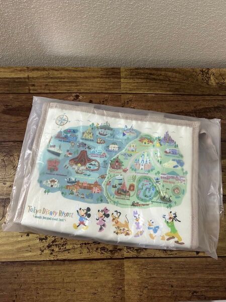 ディズニーリゾート パークマップ スーベニア ランチケース ランチバッグ バッグ ミッキー ミニー ドナルド デイジー