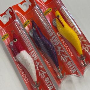 No.3 ブリーデン エギマルEVO大分 2.5S