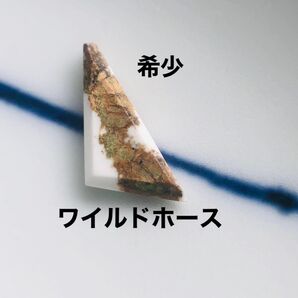 天然石 ワイルドホース ビーズ