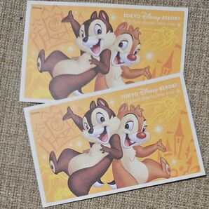 ディズニーペアチケット