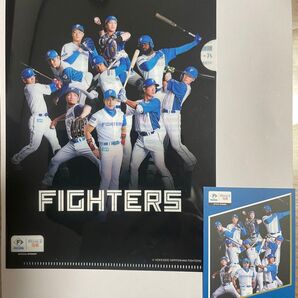 【非売品】ファイターズ×チケ流 A5クリアファイルとトレカ