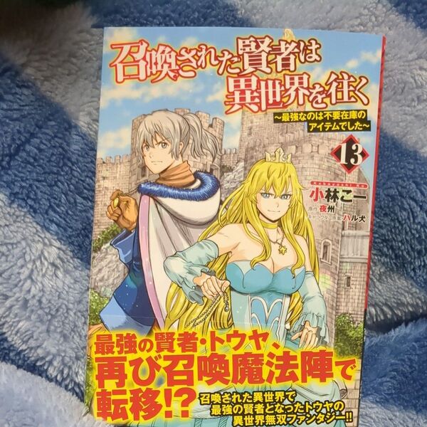 召喚された賢者は異世界を往く 最強なのは不要在庫のアイテムでした 13 (MFC) 小林こー/著 夜州/原作