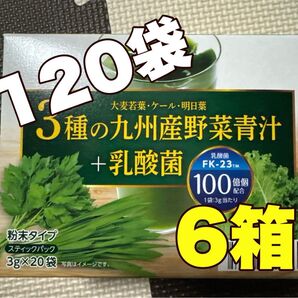 3種の九州産野菜青汁+乳酸菌 ★★6箱★★