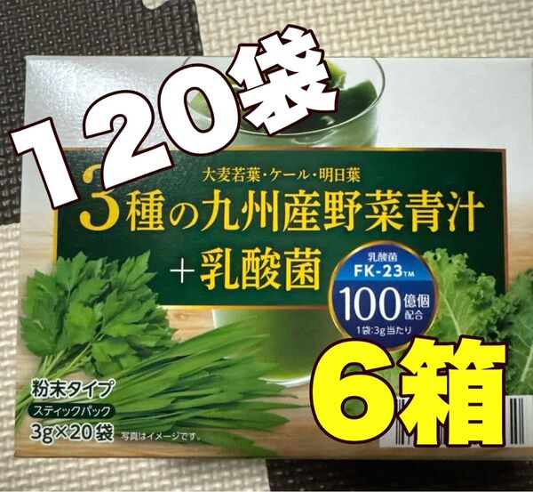 3種の九州産野菜青汁+乳酸菌 ★★6箱★★