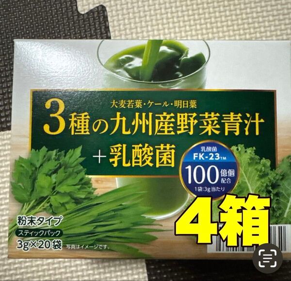 3種の九州産野菜青汁+乳酸菌 4箱