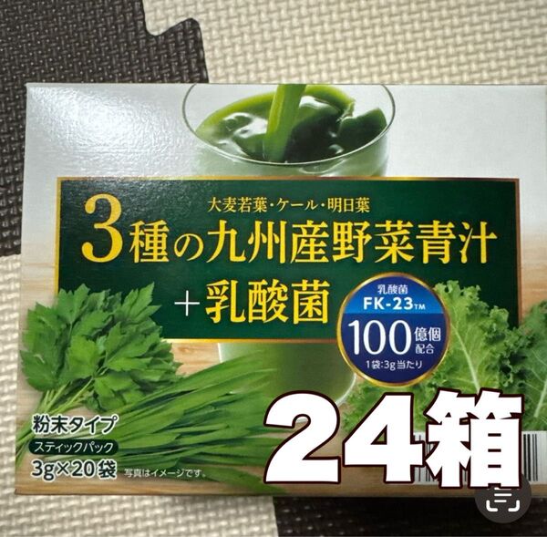 3種の九州産野菜青汁+乳酸菌 ☆☆24箱☆☆