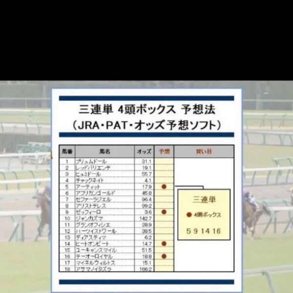 __三連単で248万円稼いだ競馬予想法__回収率345%~1740%__(JRA・PAT・予想)