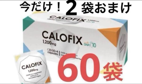 期間限定値下げ! ダイアナ セルディア カロフィックス 60袋 おまけ2袋