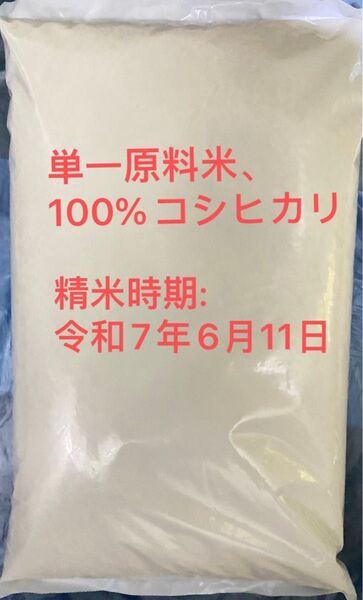令和6年 美味しい新米 コシヒカリ 5キロ
