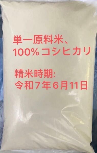 令和6年 美味しい新米 コシヒカリ 5キロ