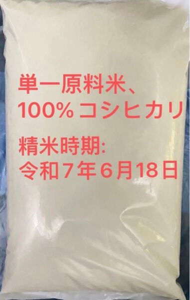 令和6年 美味しい新米 コシヒカリ 5キロ