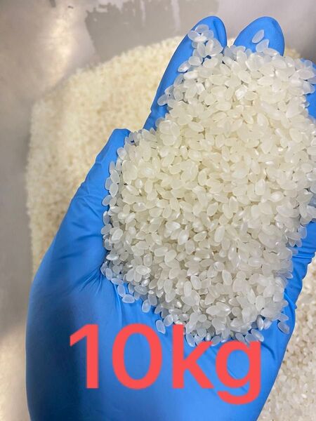令和6年 美味しい新米 コシヒカリ 10キロ 精米時期: 令和7年6月11日
