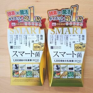 匿名配送:スベルティ スマート菌 約20~30日分(120粒)×2箱 ダイエット
