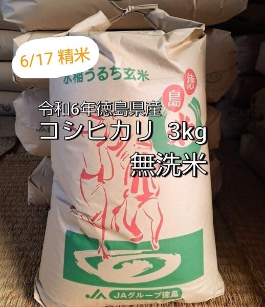 ☆令和6年徳島県産 コシヒカリ 3kg□無洗米