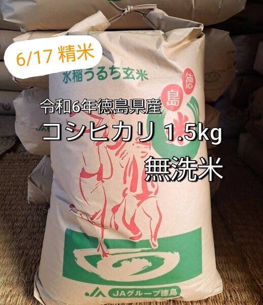 ☆令和6年徳島県産 コシヒカリ 1.5kg□無洗米