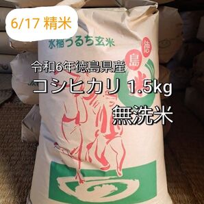 ☆令和6年徳島県産 コシヒカリ 1.5kg□無洗米