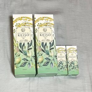 BOTANICAL KEISO Si(ボタニカル ケイ素) ヒアルロン酸配合 植物性ケイ素濃縮液 シリカ