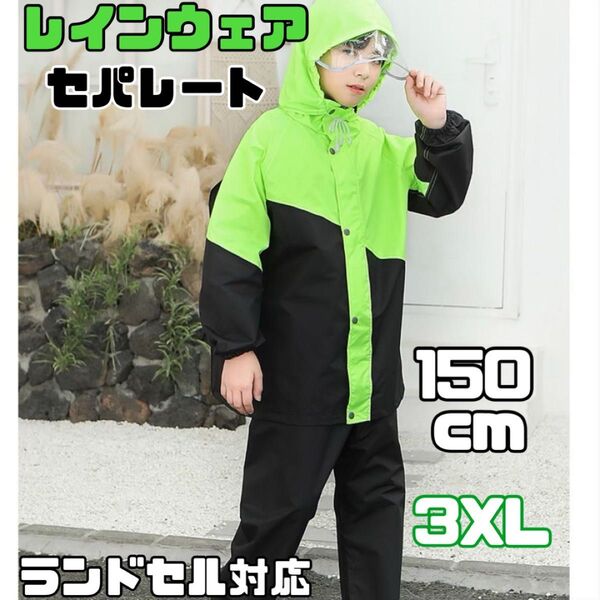 レインウェア 3XL 150cm セパレート ランドセル対応 上下2点 バイカラー レインコート 雨具 収納ケース付き 黒 緑