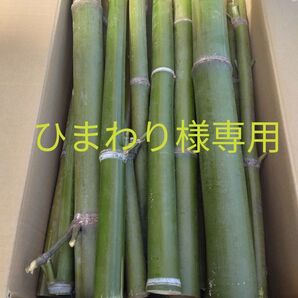 竹材 兵庫県高砂産 孟宗竹