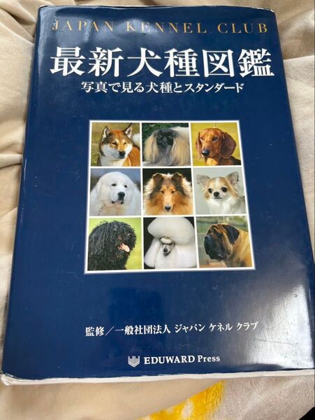 最新犬種図鑑 写真で見る犬種とスタンダード