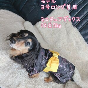 訳ありセール!新品送料無料 PIPIスリーアローズ 3号ロング超小型犬浴衣着物振袖犬服和装節分七五三誕生日黒DMダックス