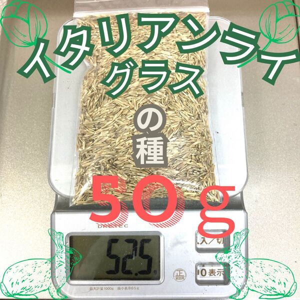 イタリアンライグラスの種50g