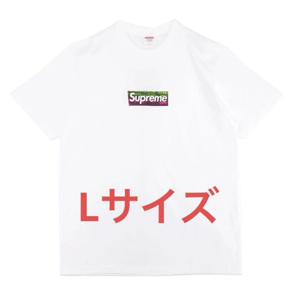 【週末限定】【未使用日本未発売】Supreme Los Angeles Fire Relief Box L